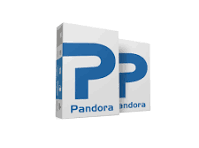 Pandora Tool Digital Licence No Need Box - 1 Year - (Renewal)