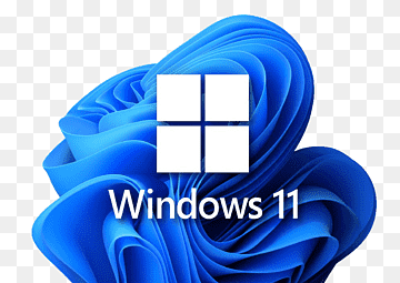 Microsoft Windows 10/11 Pro OEM Lifetime Activation